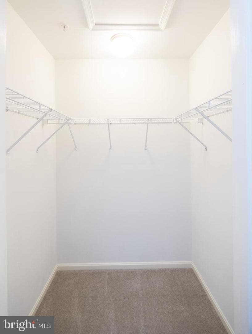 138 Regulator Drive N photo 16