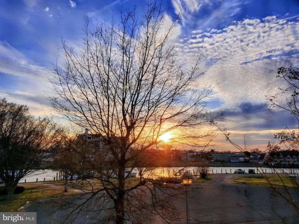 700 Cattail Cove #104 photo 25