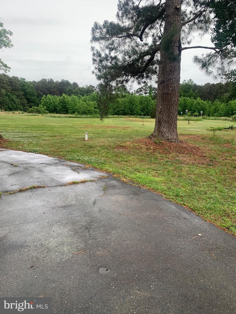 1007 Hudson Road photo 5