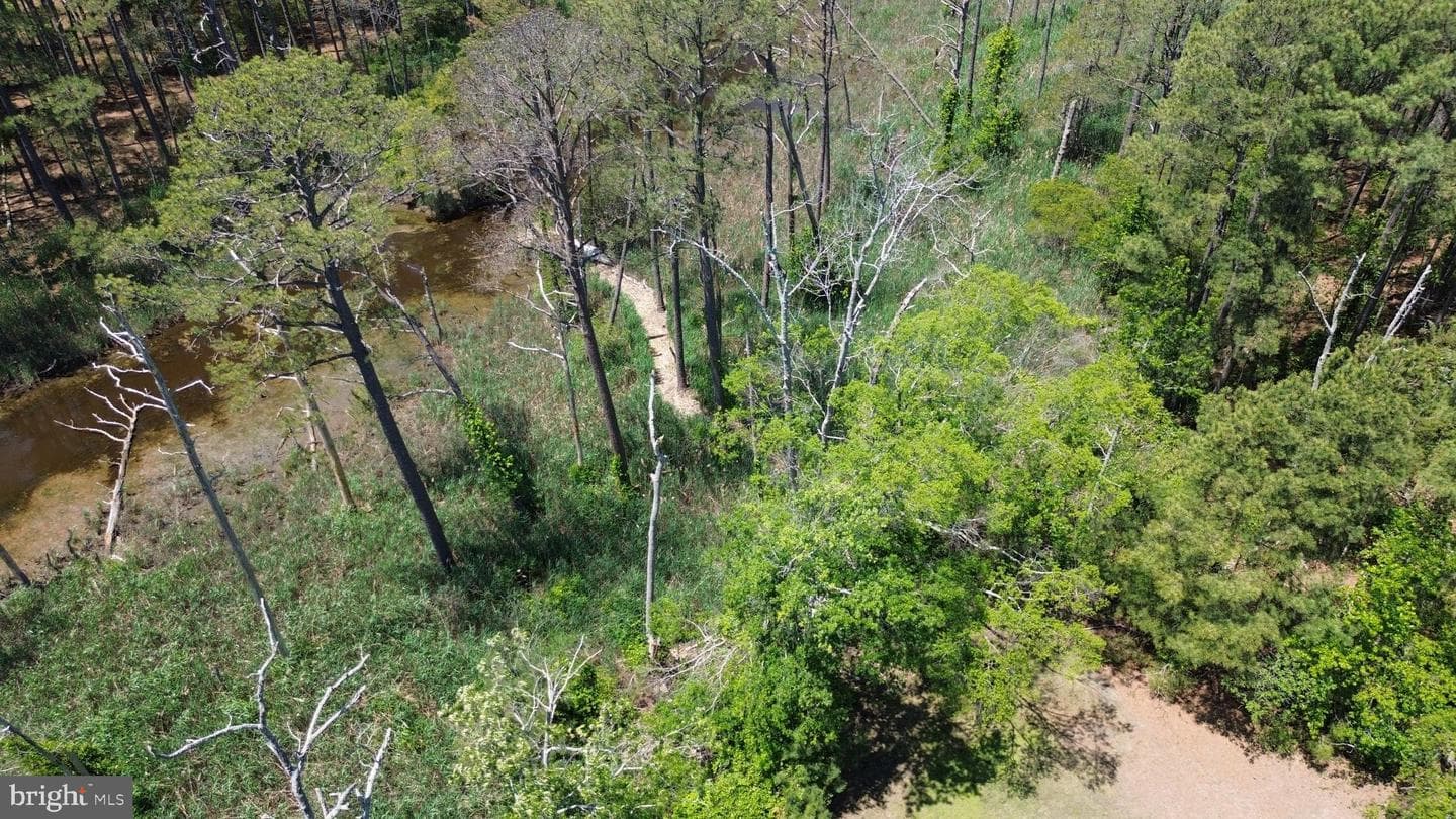2551 Toddville Road photo 22