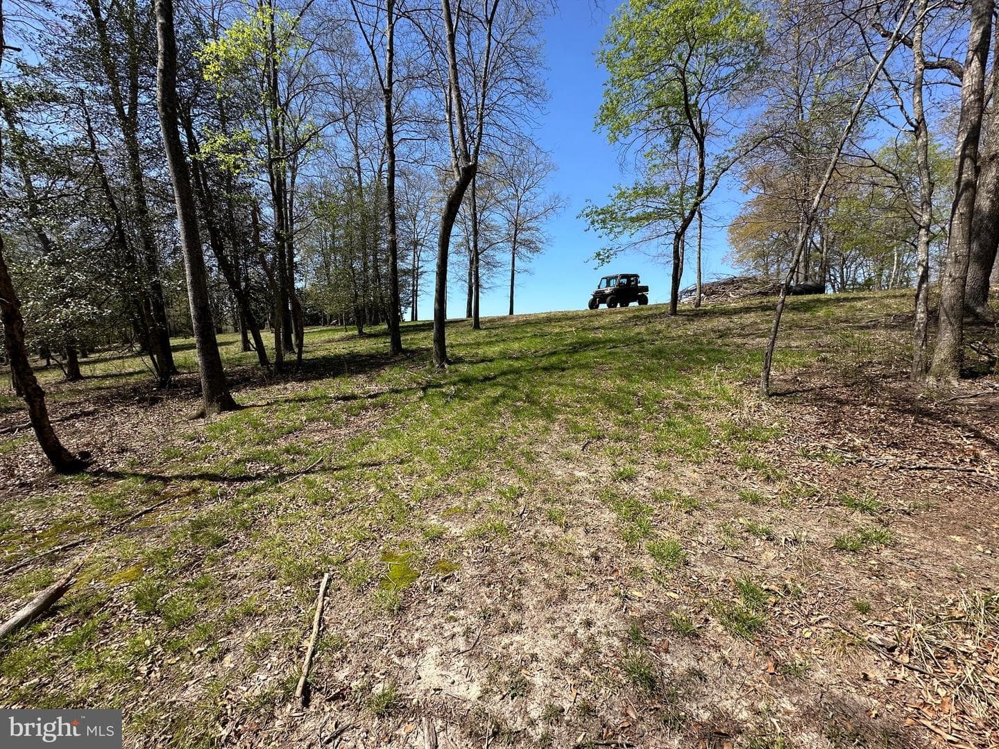5113 River Road photo 49