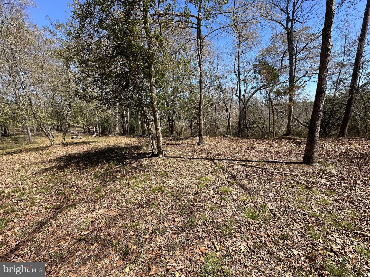 5113 River Road photo 50