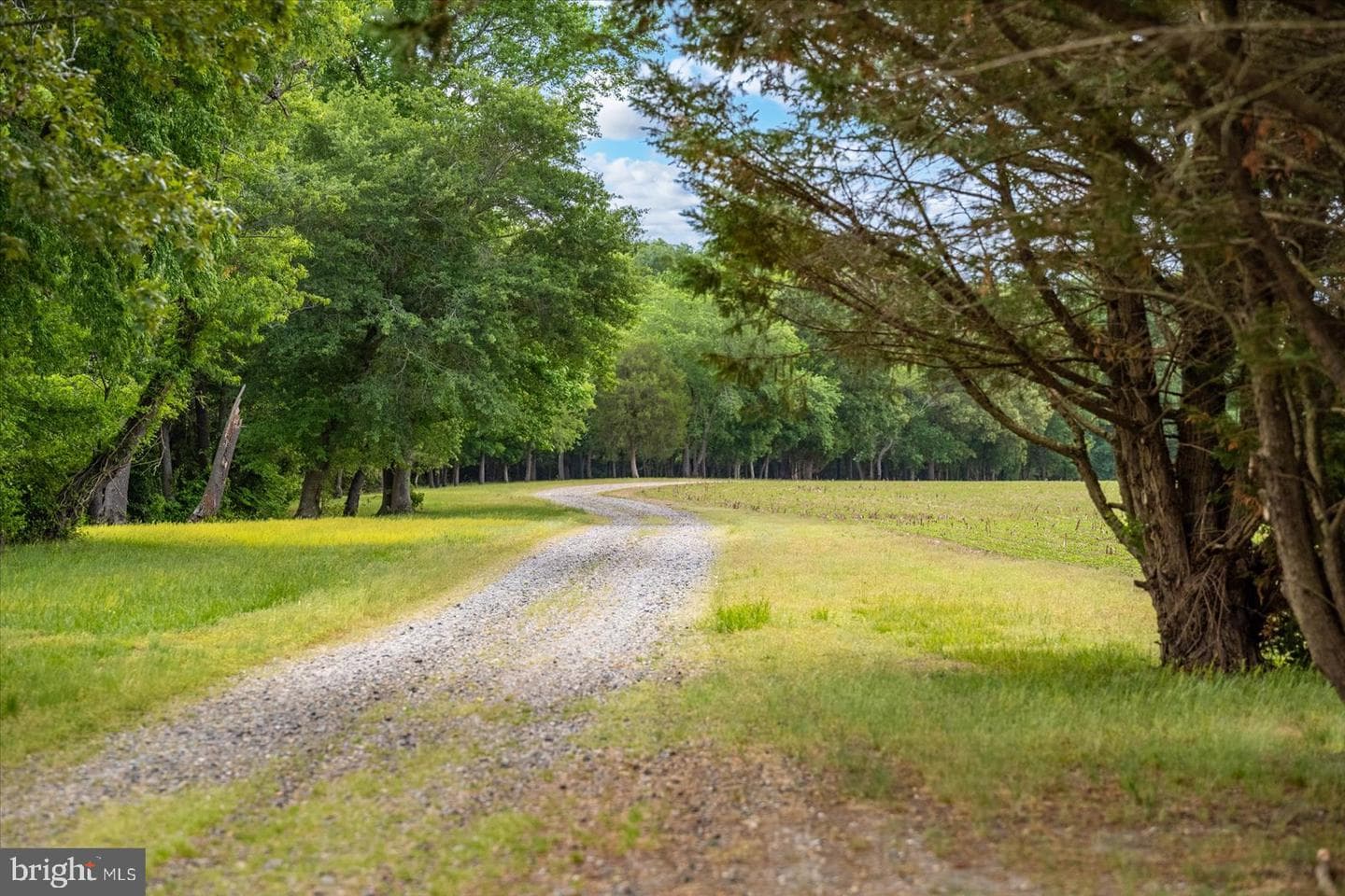 5113 River Road photo 6