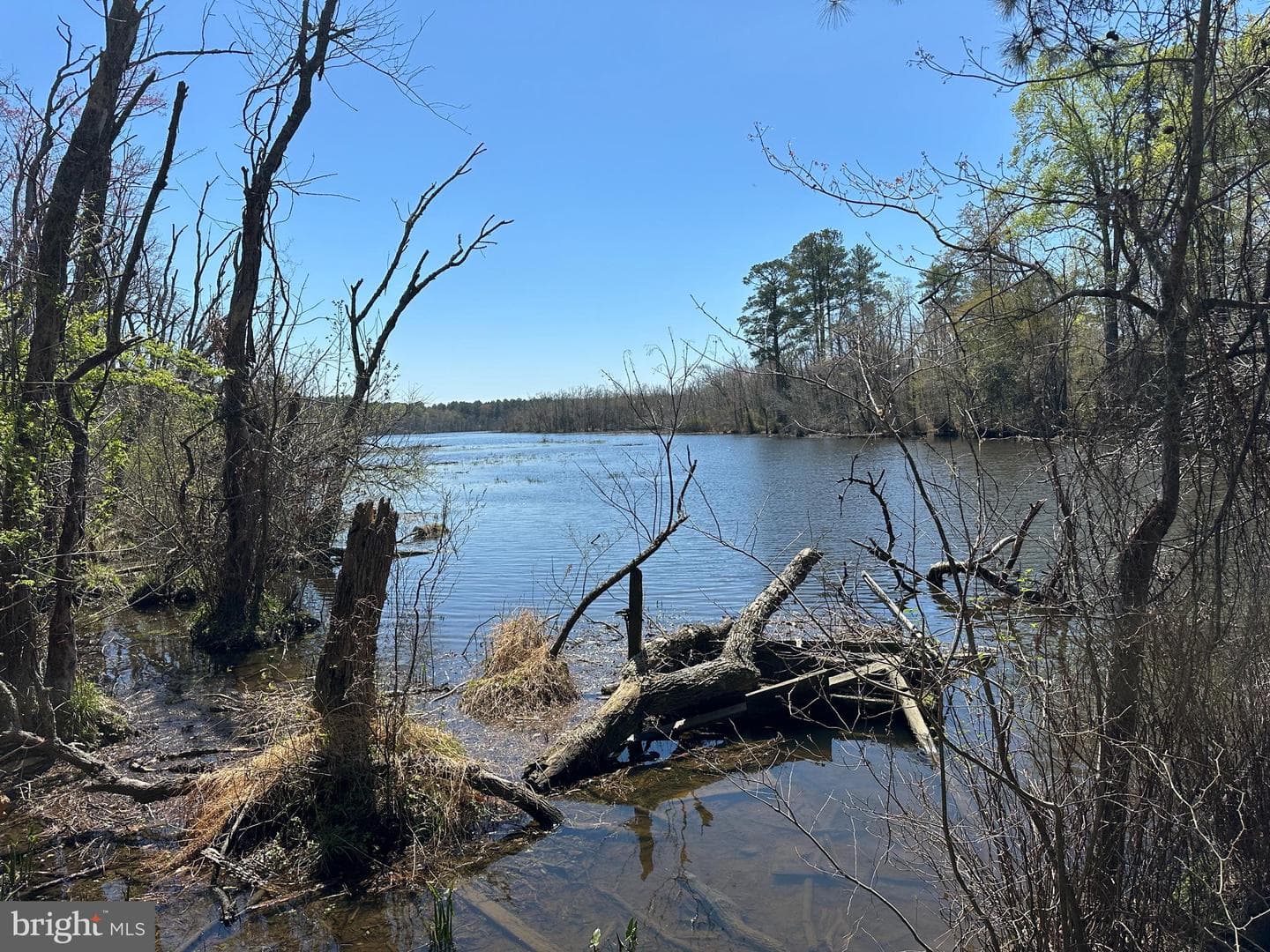 5113 River Road photo 9