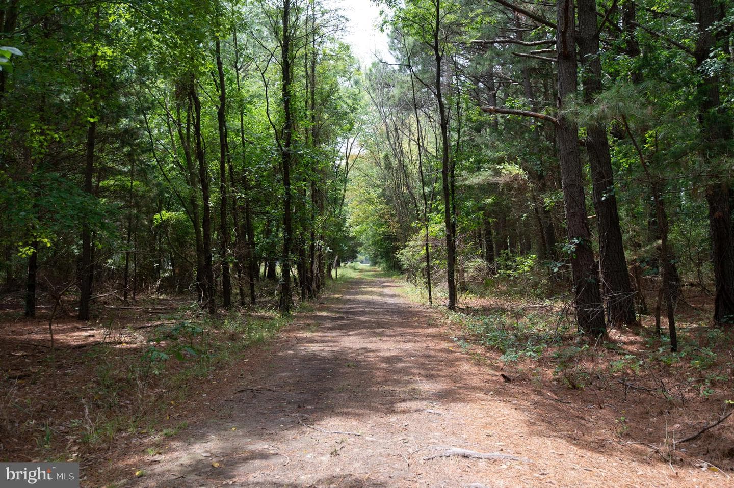 6046 Todds Point Road photo 77