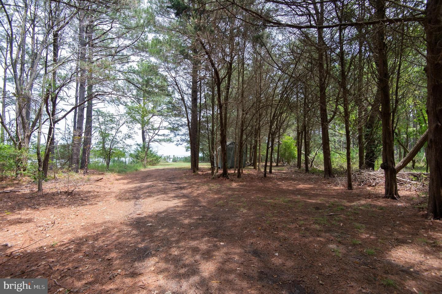 6046 Todds Point Road photo 78