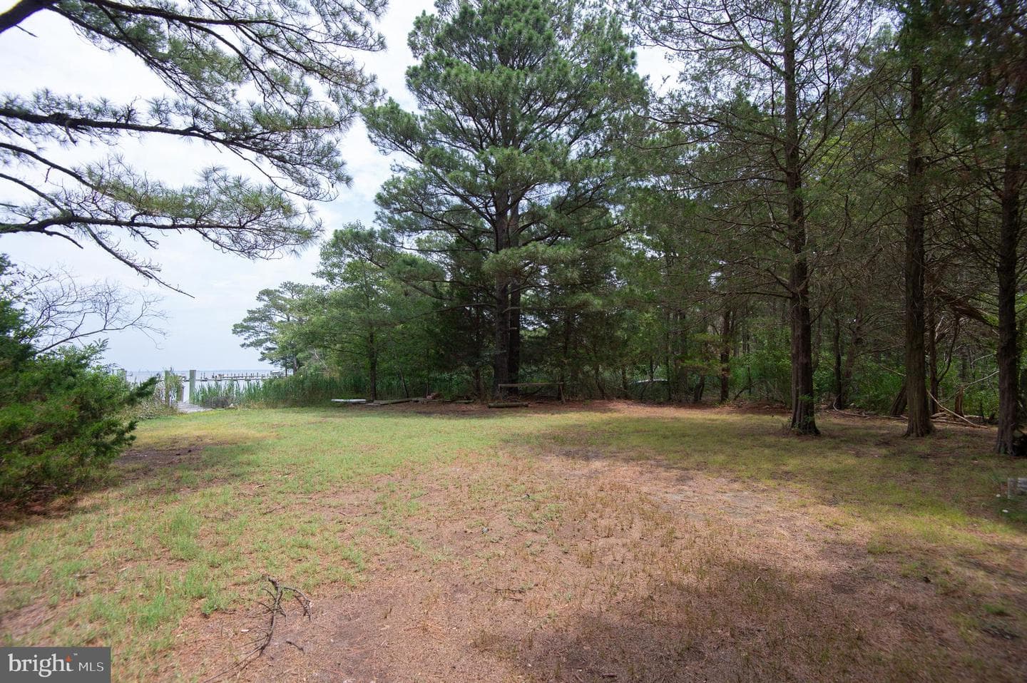 6046 Todds Point Road photo 79