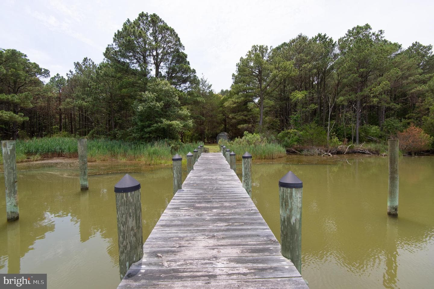6046 Todds Point Road photo 85
