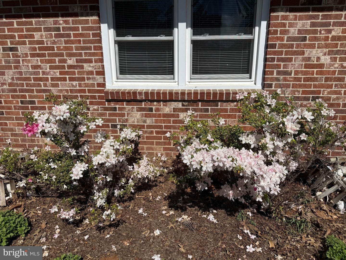 9 Merryweather Drive photo 41