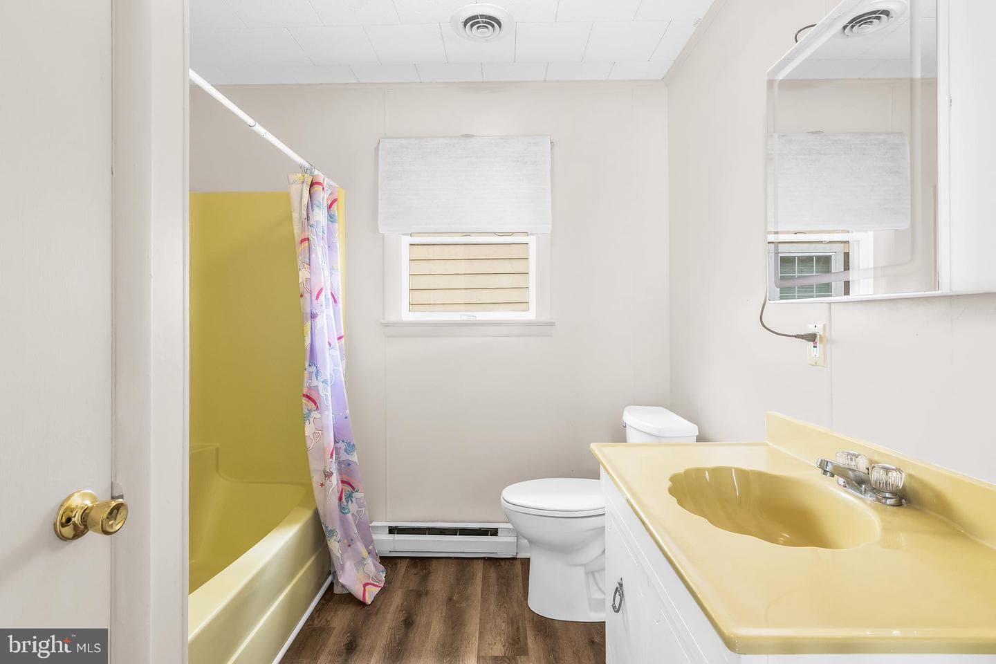 1003 Roslyn Avenue photo 18