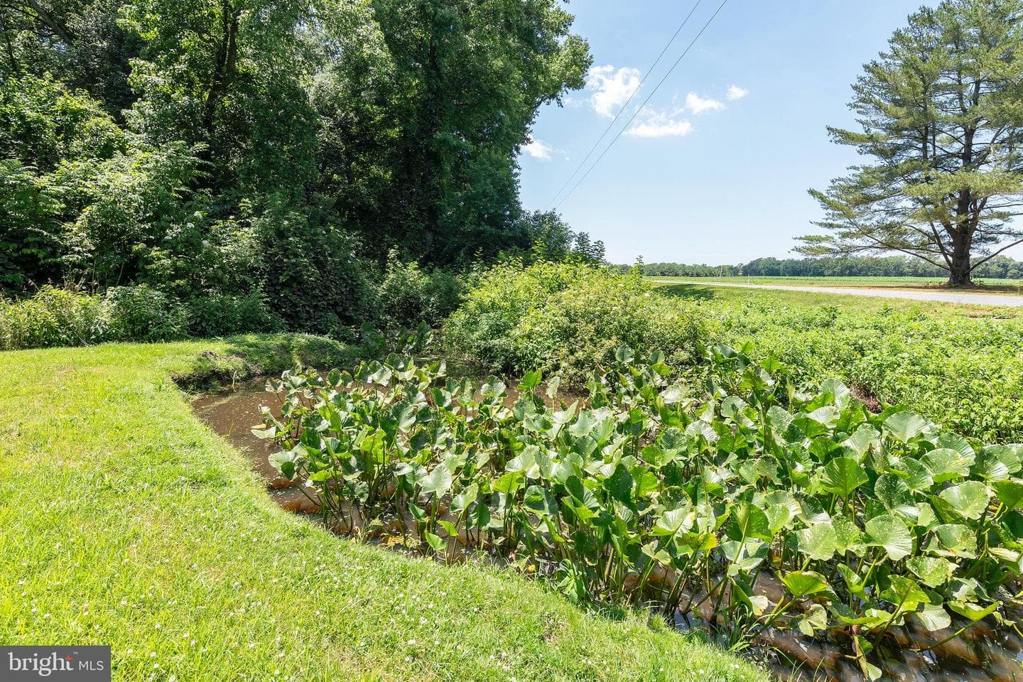 4657 Maiden Forest Road photo 20