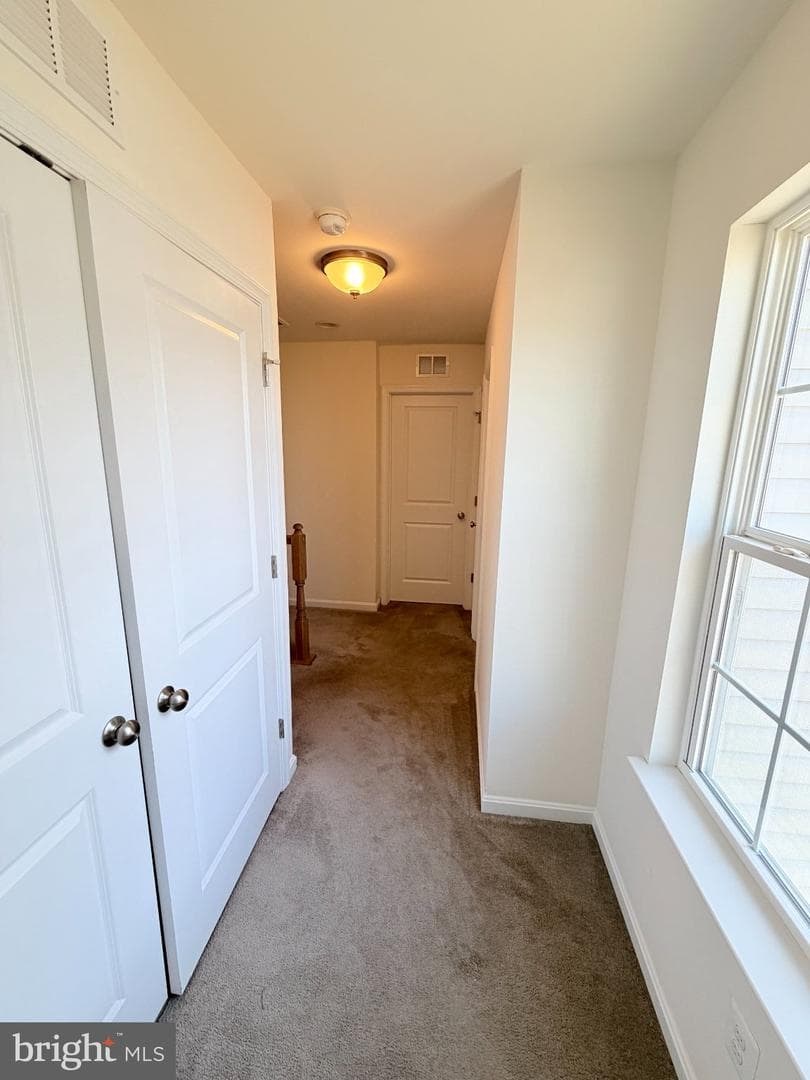 300 Shepherd Avenue photo 19