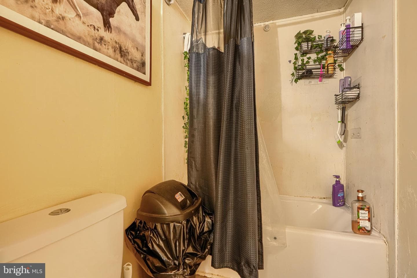 5863 Sharptown photo 18