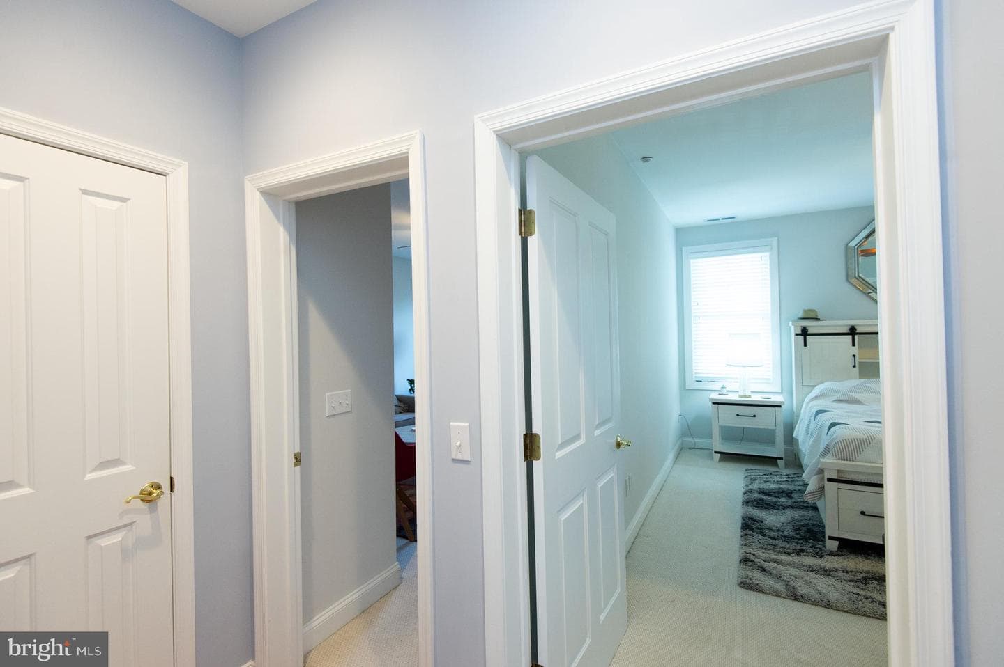 3 Oakley Street photo 15