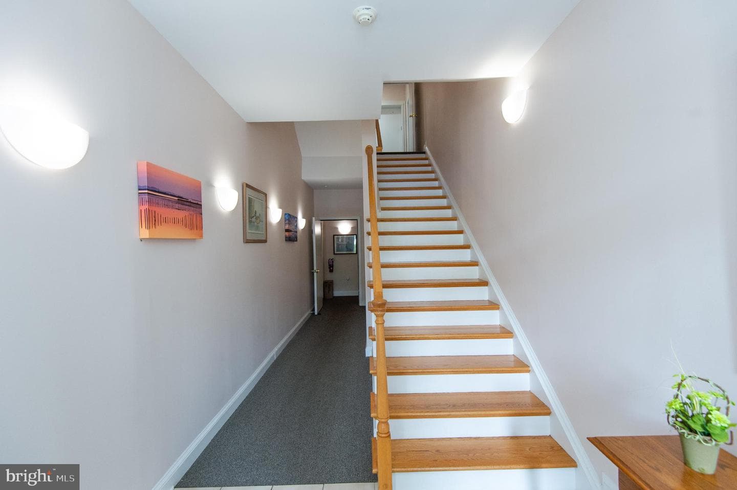 3 Oakley Street photo 5