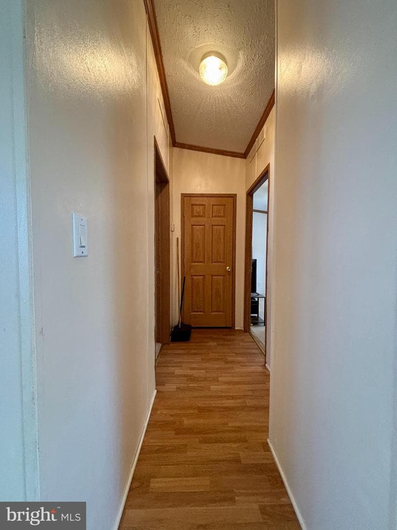 2631 Rebecca Ln photo 9