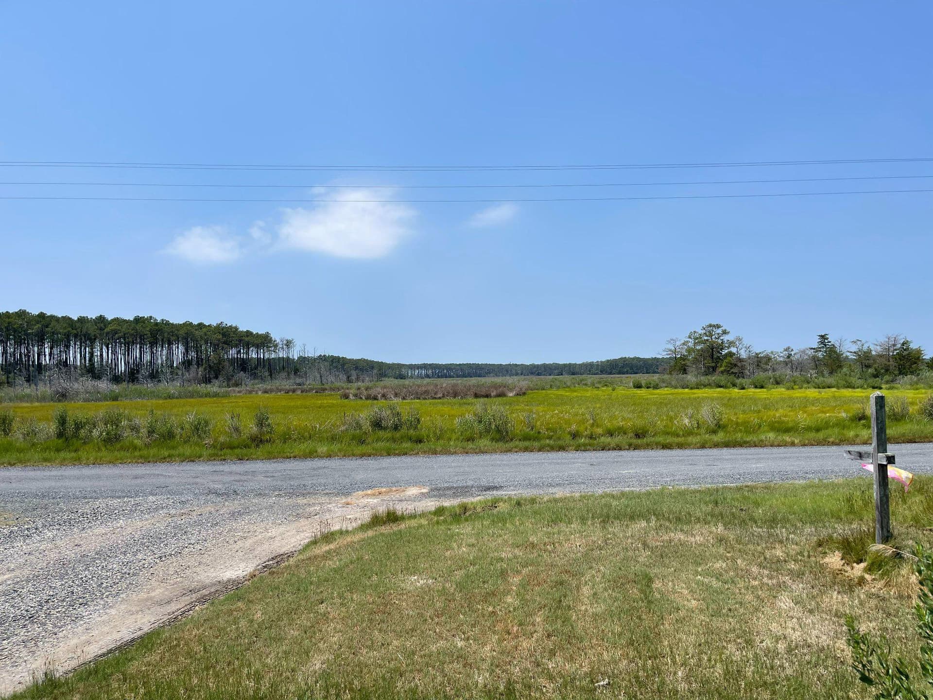 2439 Asquith Island Road photo 5