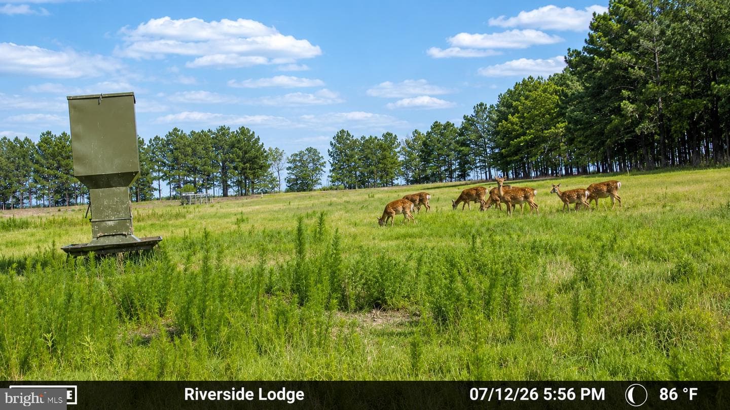1713 Doeller Road photo 93
