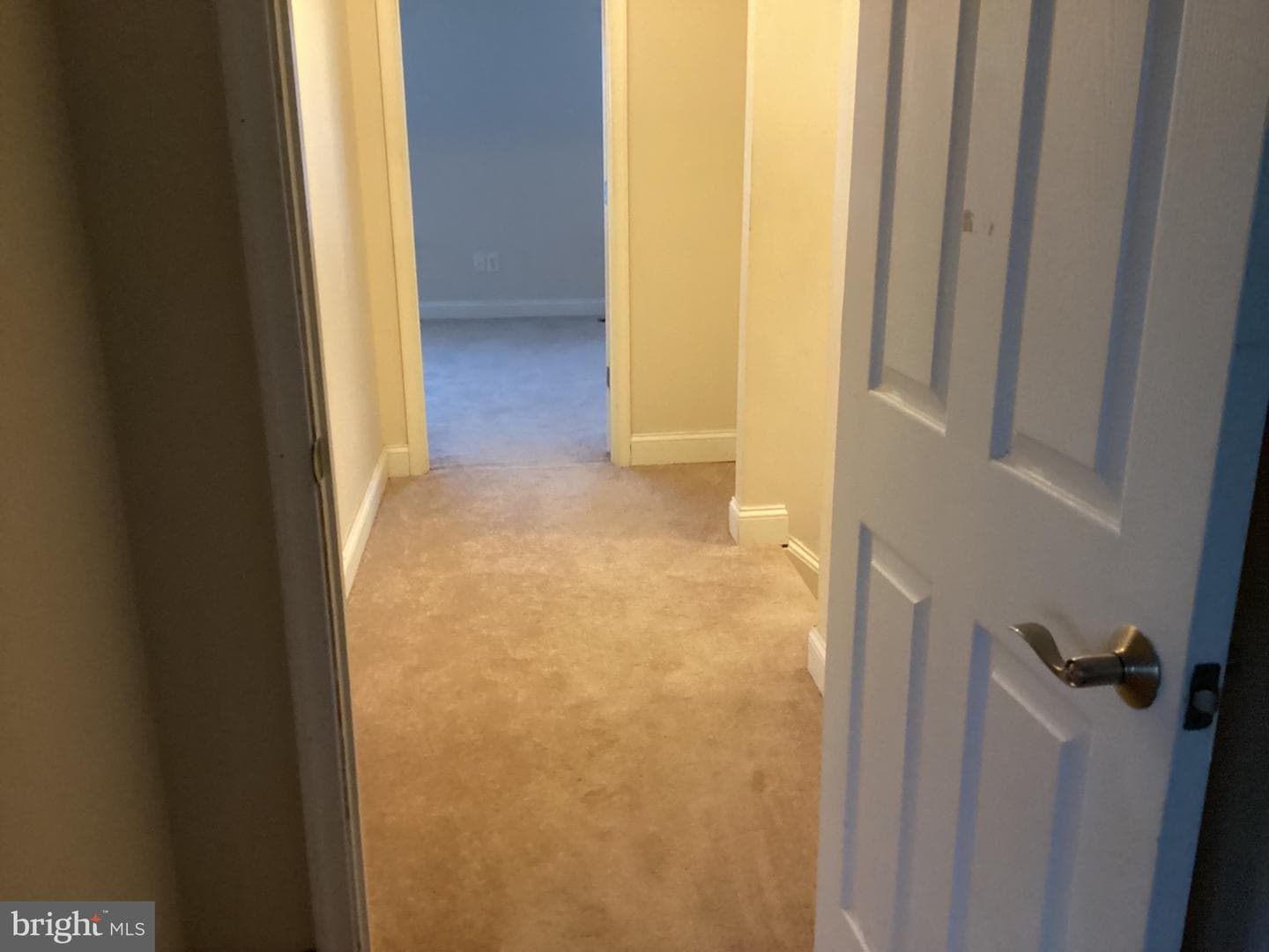 309 Old Squaw Court #30984582 photo 16