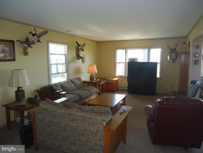 2209 Asquith Island photo 11