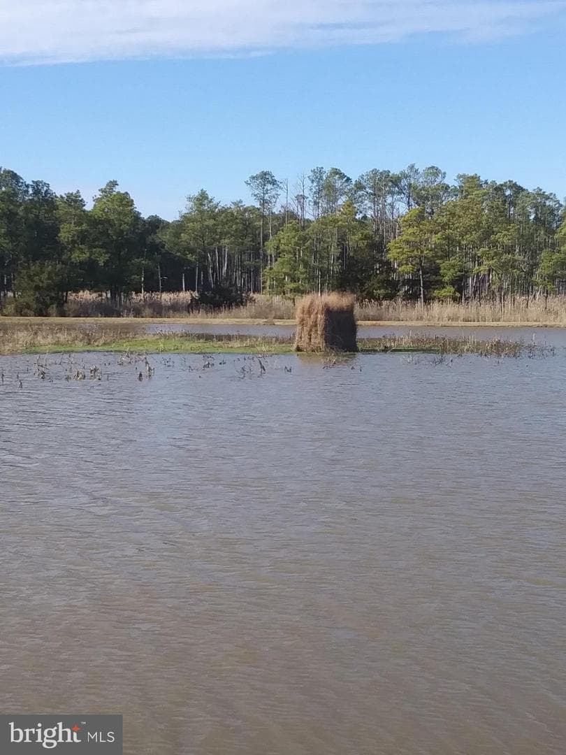 2209 Asquith Island photo 17