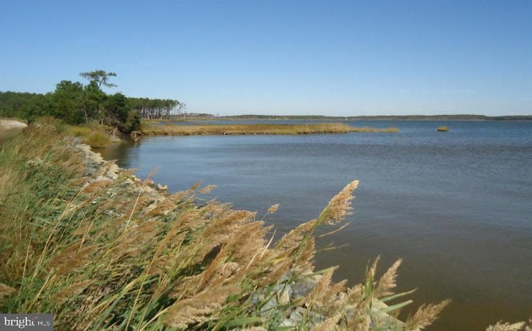 2209 Asquith Island photo 3