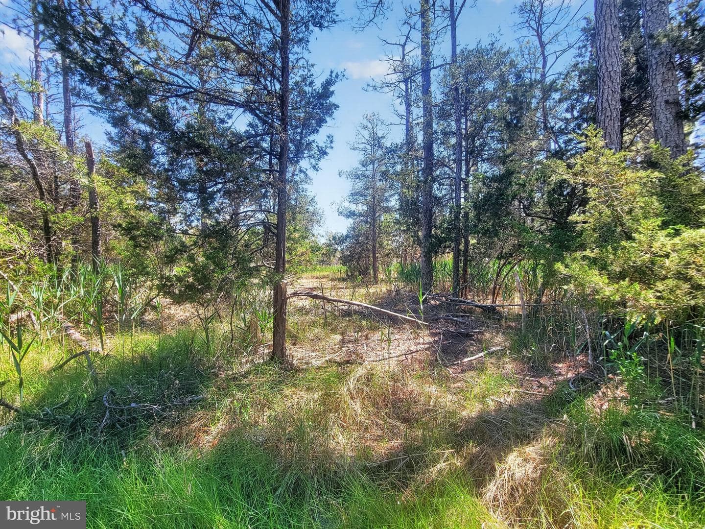 5214 David Greene Road photo 52