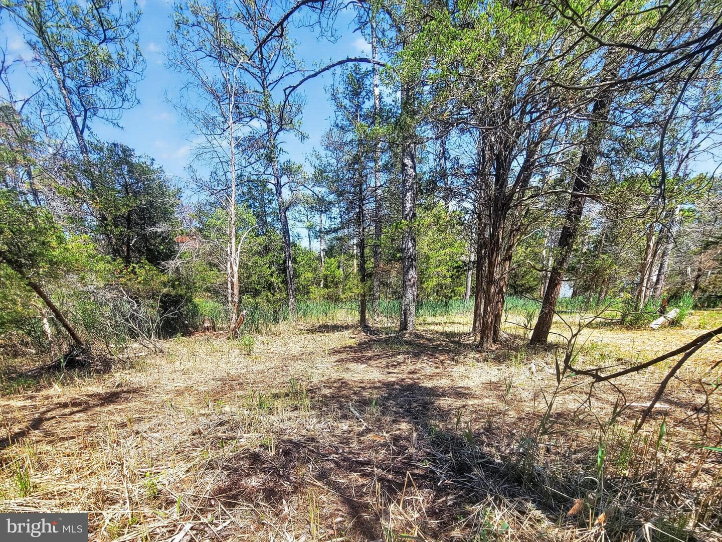 5214 David Greene Road photo 53