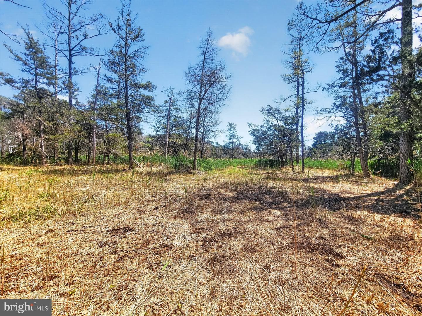 5214 David Greene Road photo 54