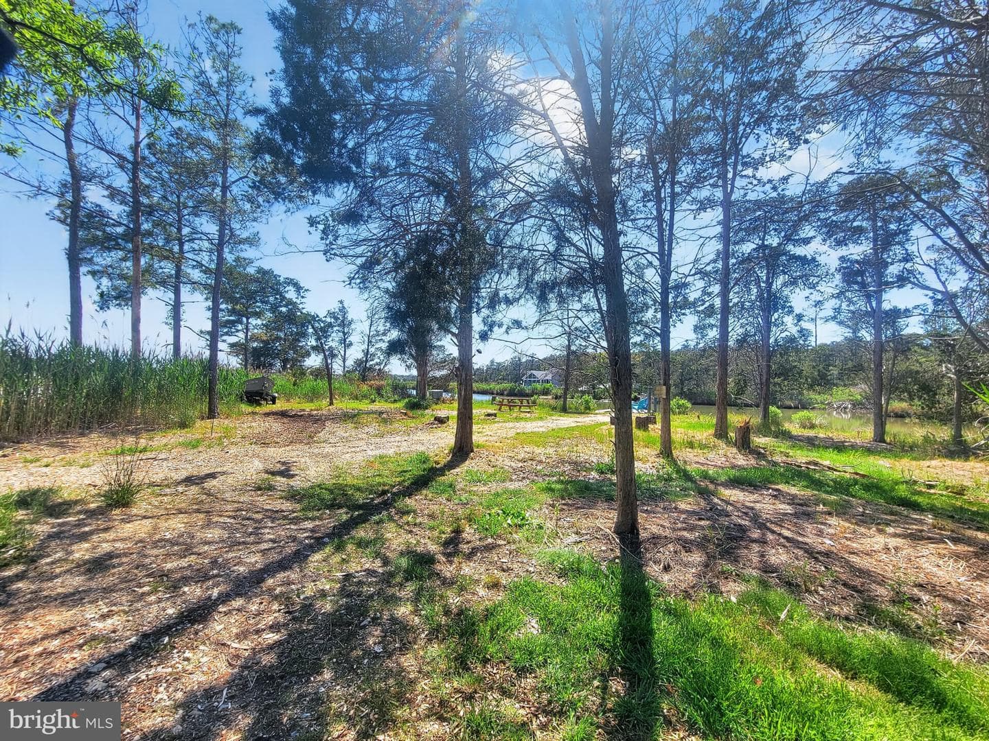 5214 David Greene Road photo 66