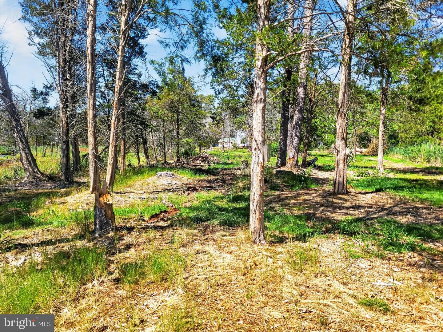 5214 David Greene Road photo 71