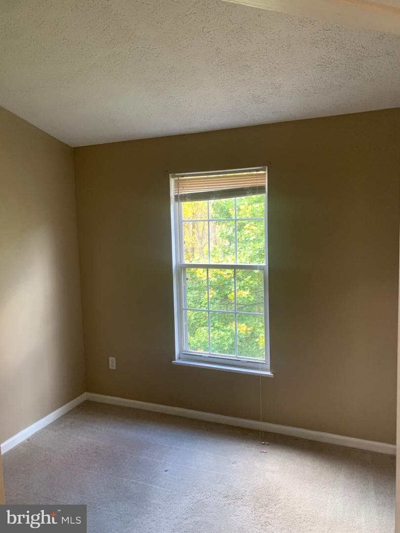 5490 Prince William Court photo 10