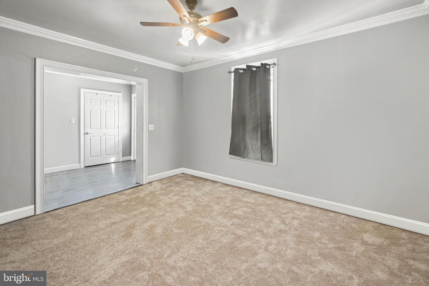 141 N Carroll Street photo 11