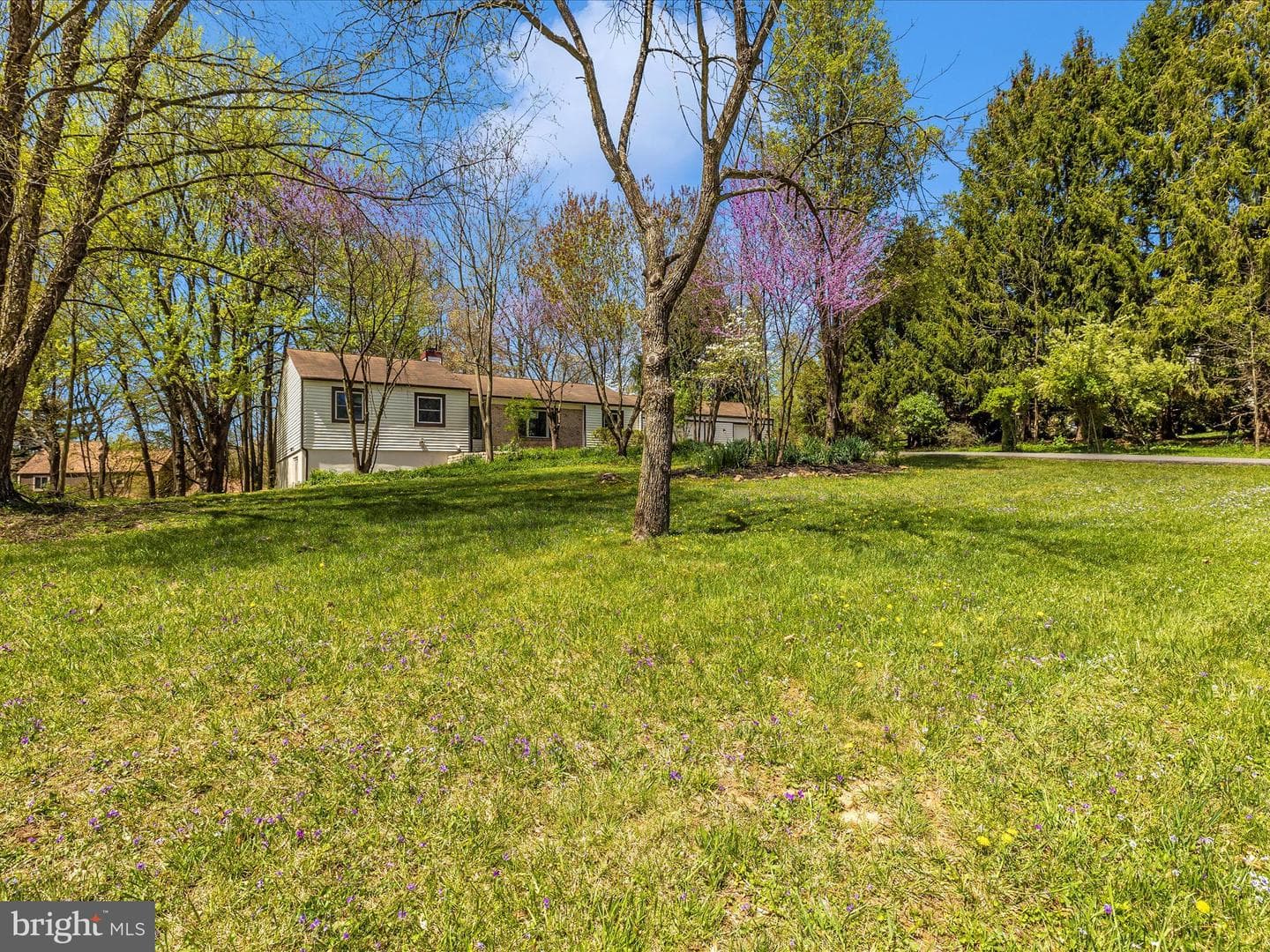 2728 Loch Haven Drive photo 47