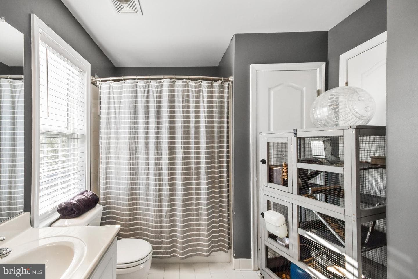 12 Jeffrey Lane photo 61