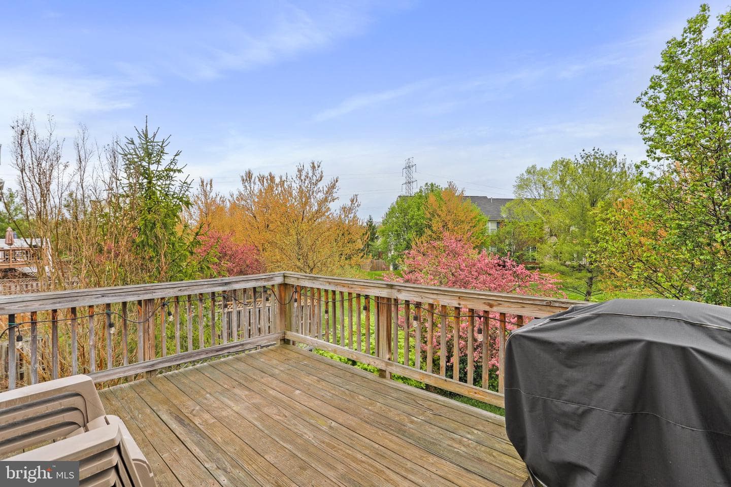 2598 Carrington Way photo 31