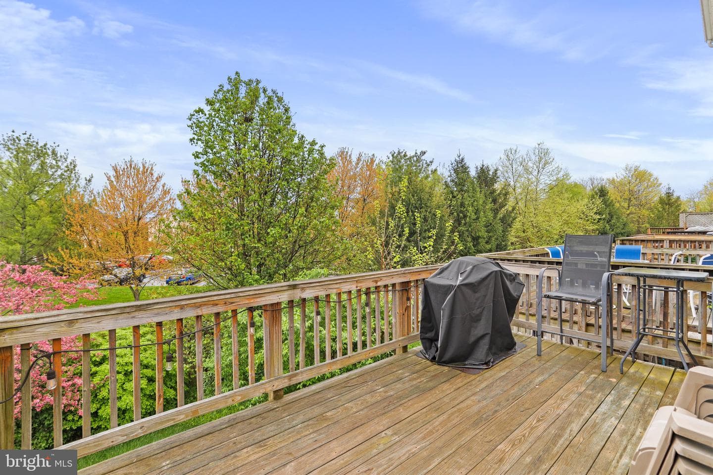 2598 Carrington Way photo 32