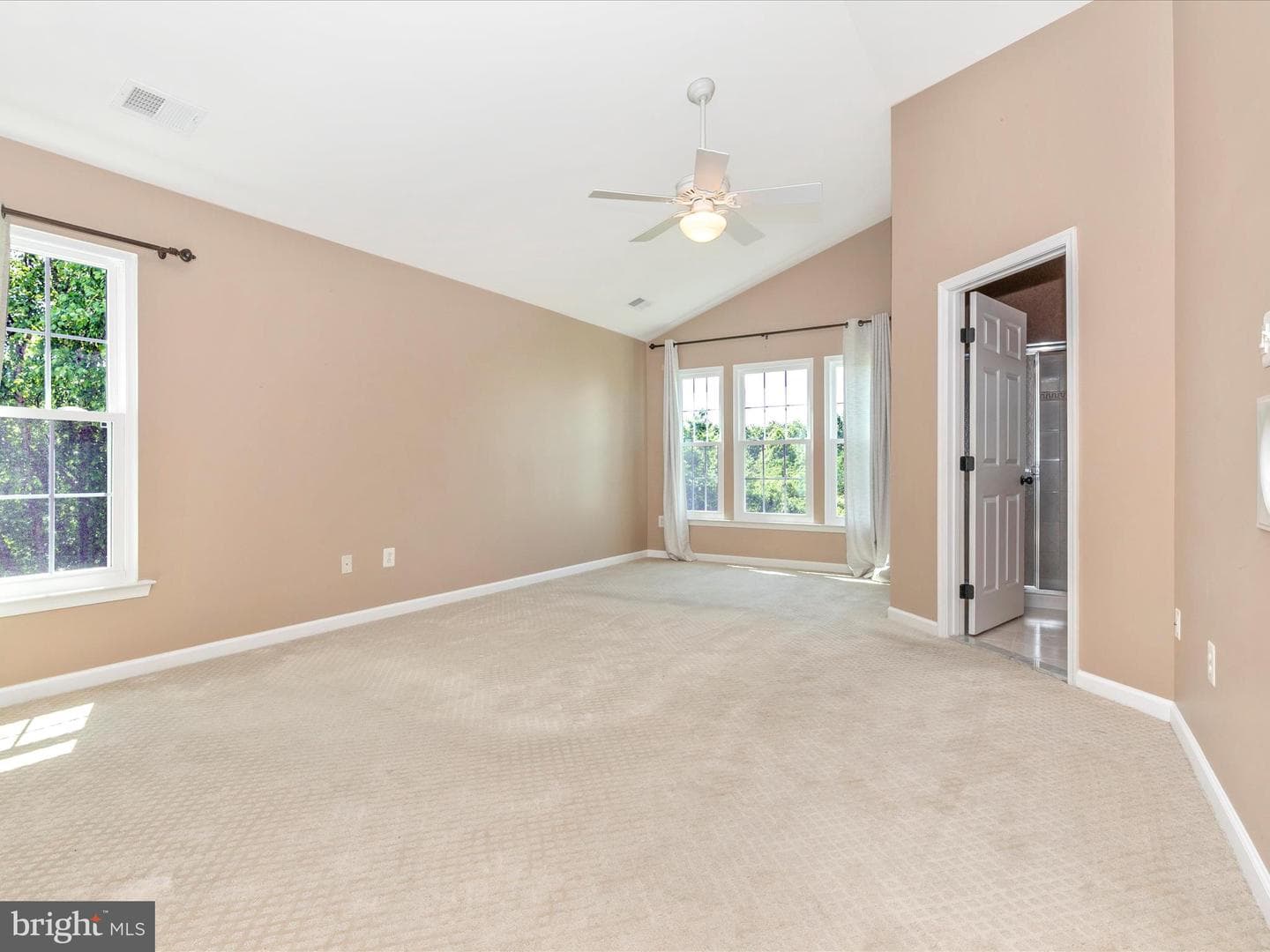 1802 Black Walnut Court photo 23