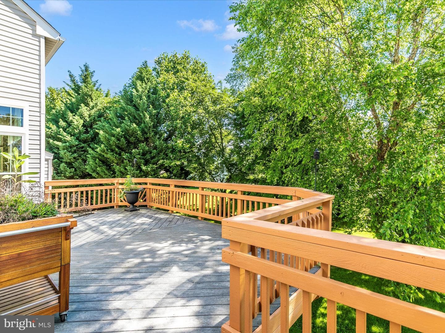 1802 Black Walnut Court photo 50