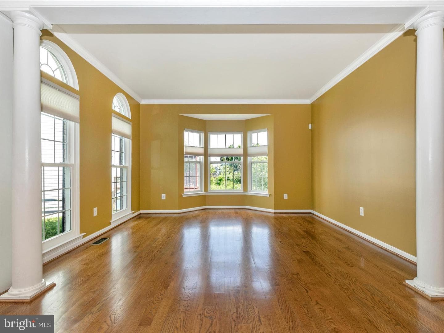 1802 Black Walnut Court photo 6