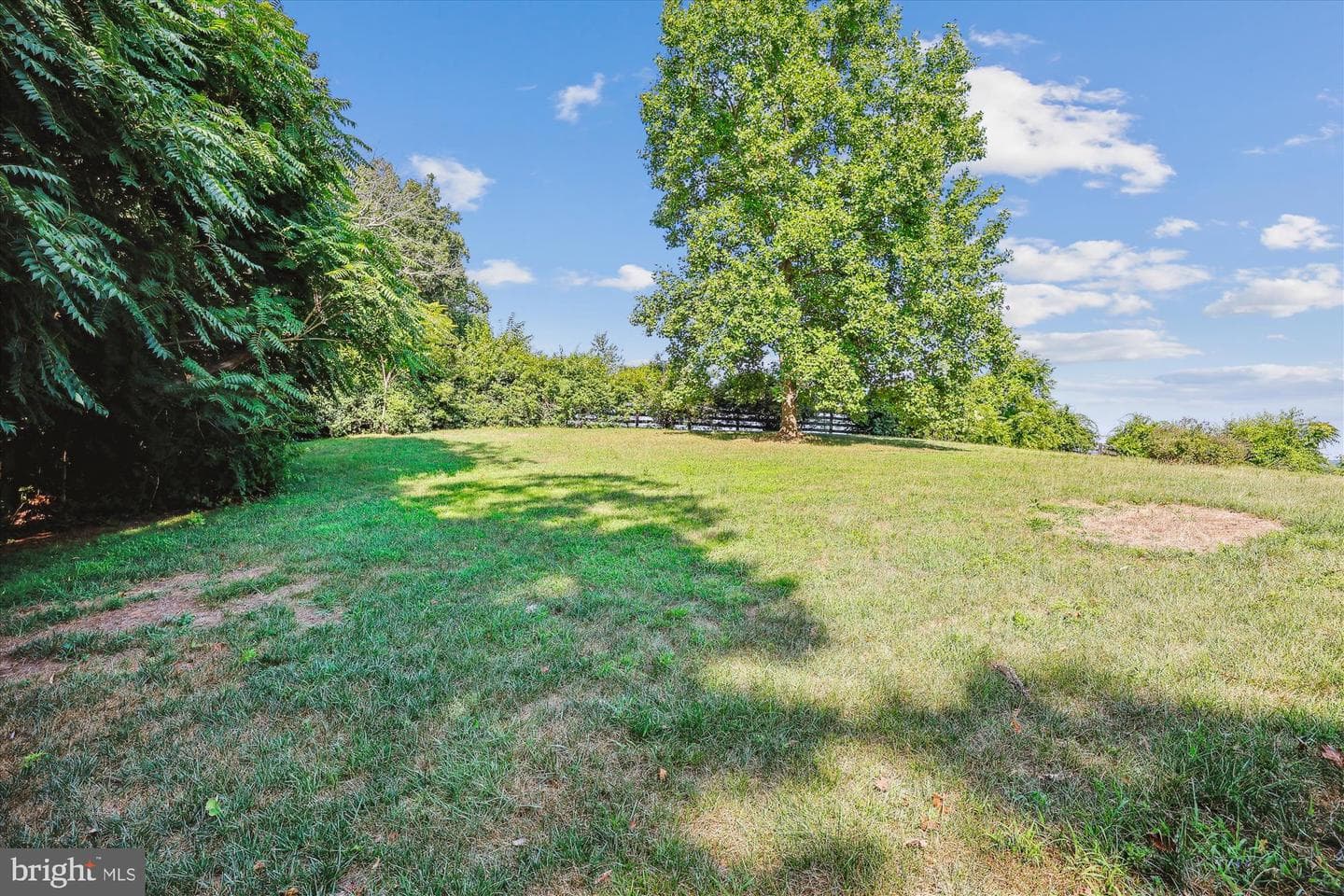4705 Briggswood Court photo 8