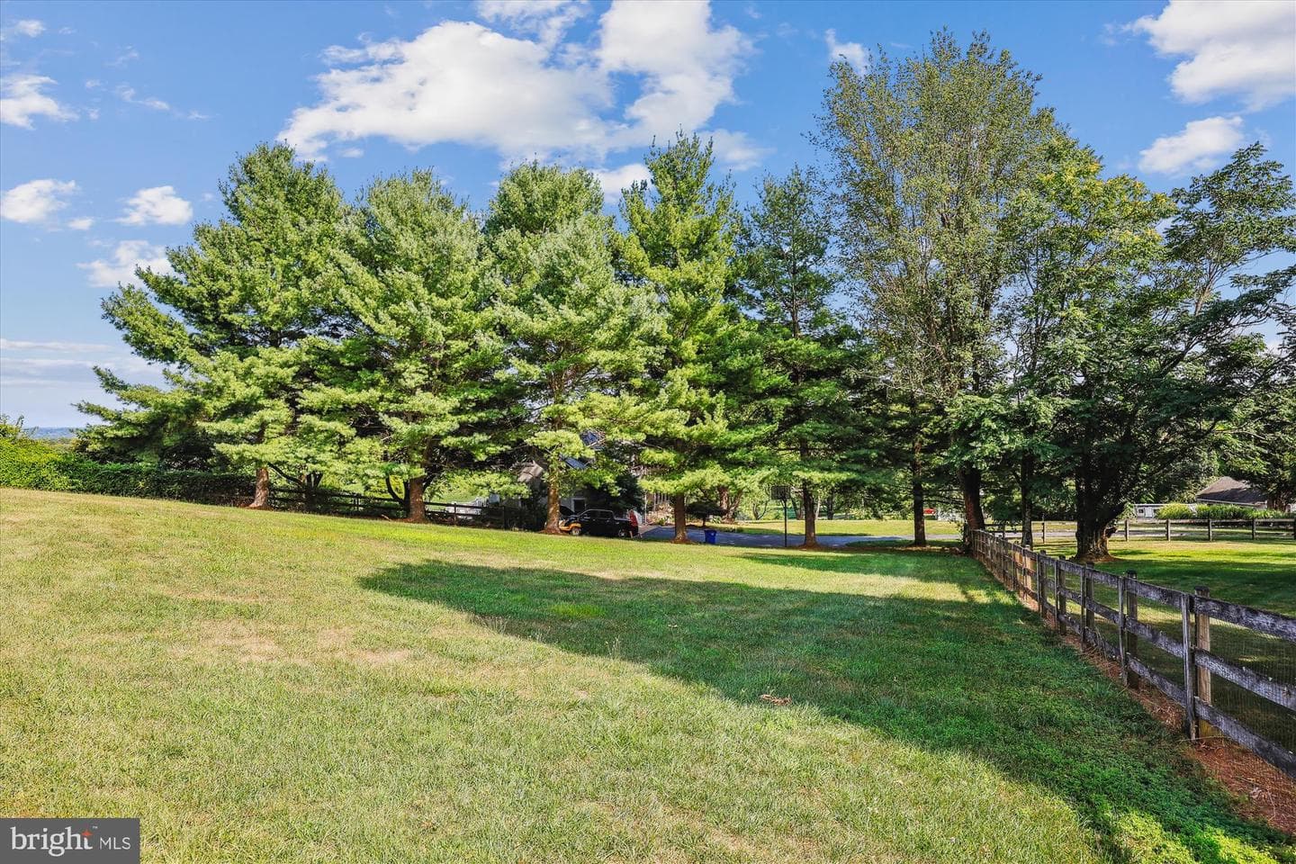 4705 Briggswood Court photo 9