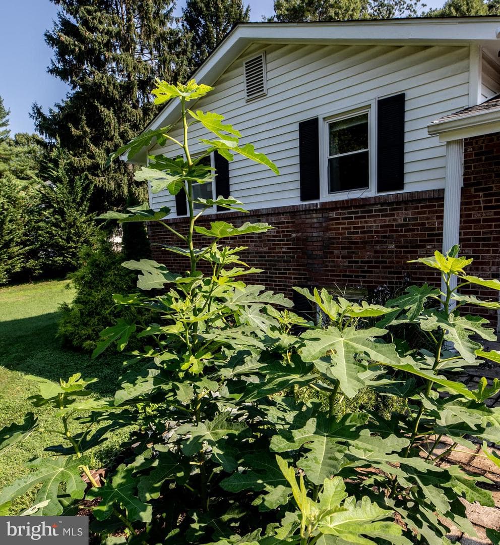 3931 Sugarloaf Drive photo 3