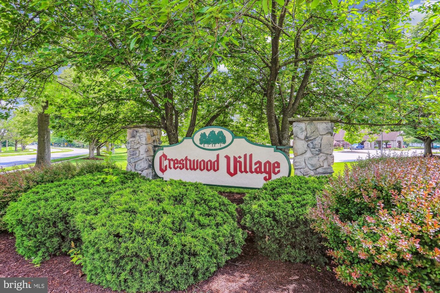 7040 Basswood Road #11 photo 34