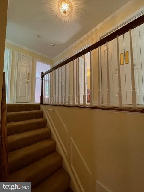 7419 Woodville Road photo 37