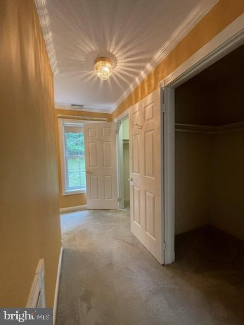 7419 Woodville Road photo 47