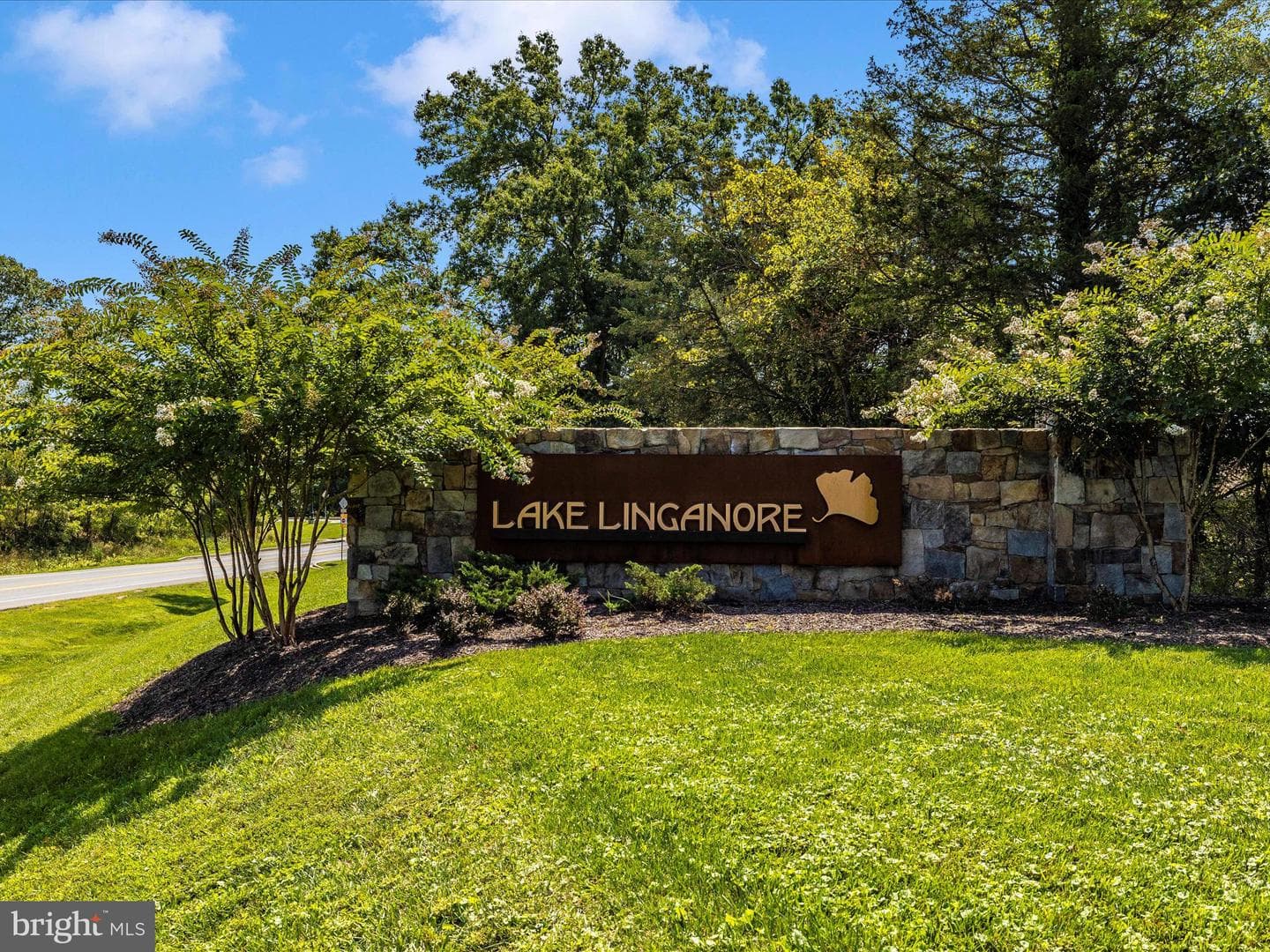 9635 Woodland Road photo 57