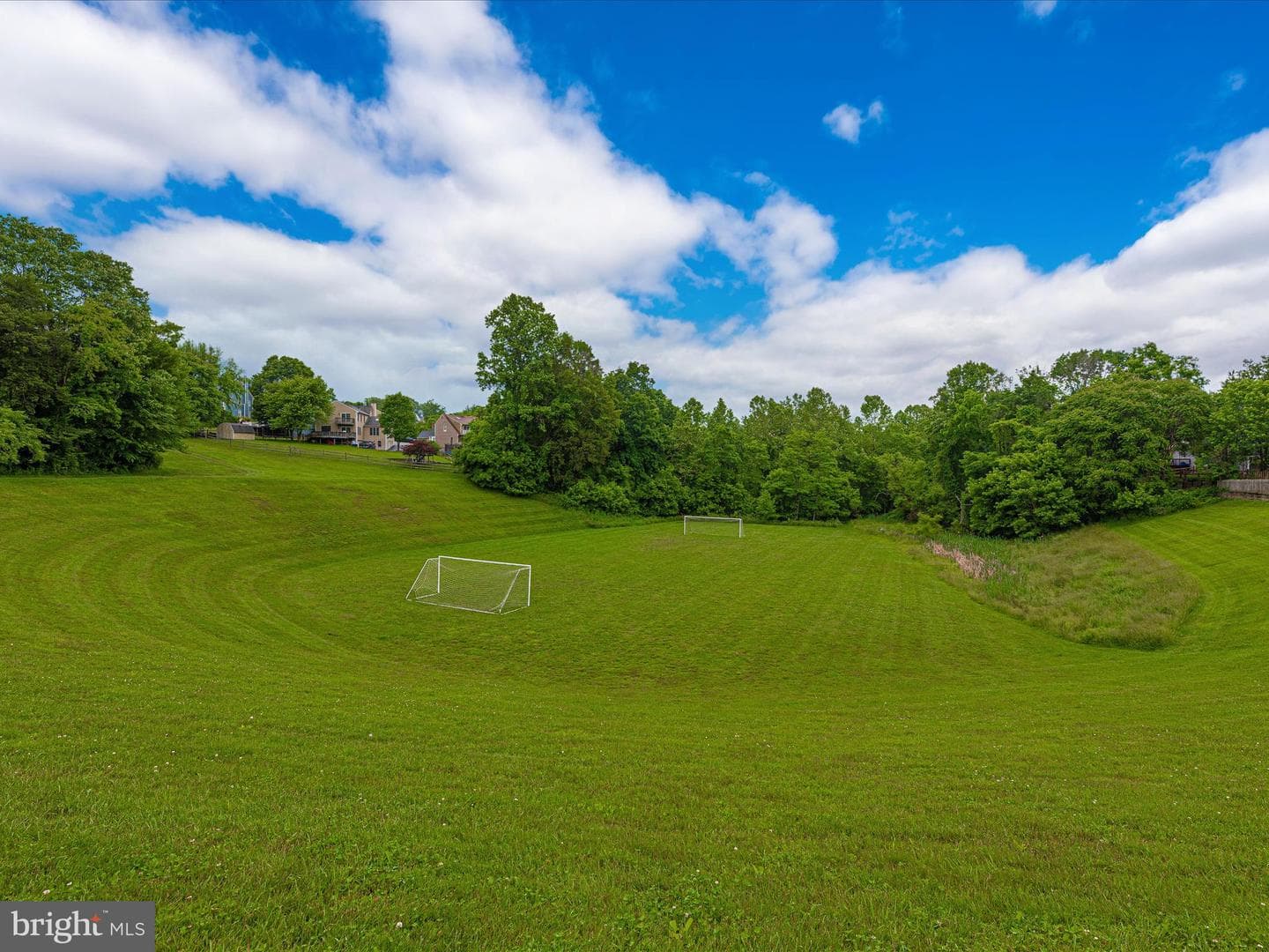 9635 Woodland Road photo 66