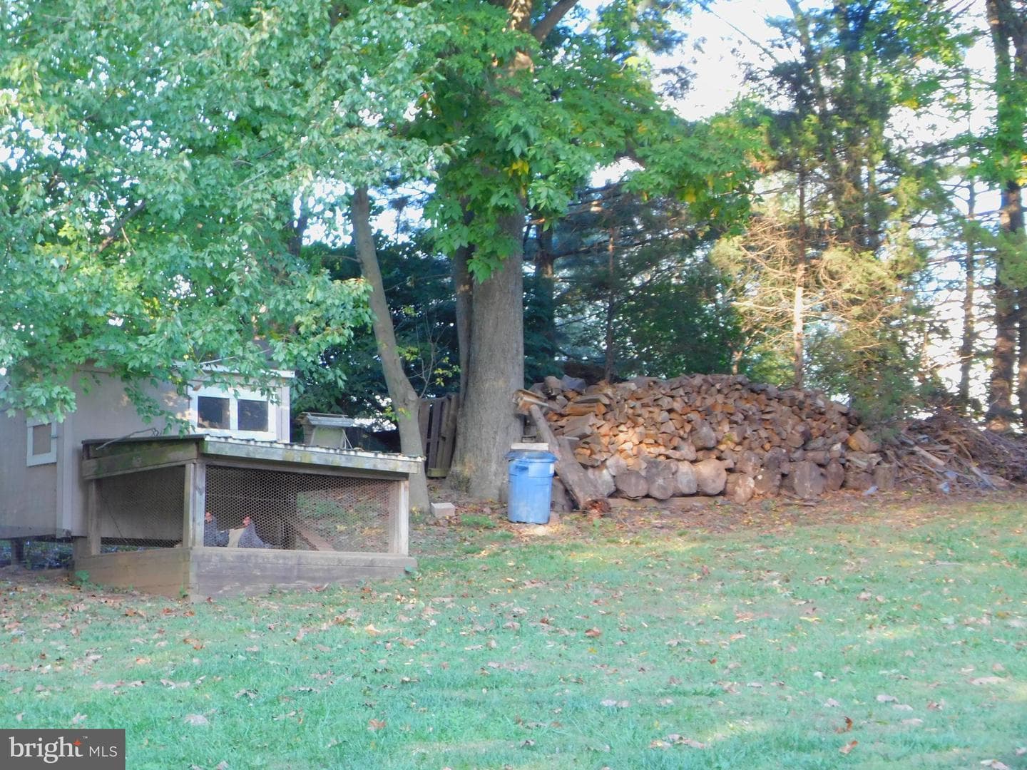 13202 Nittany Court photo 35
