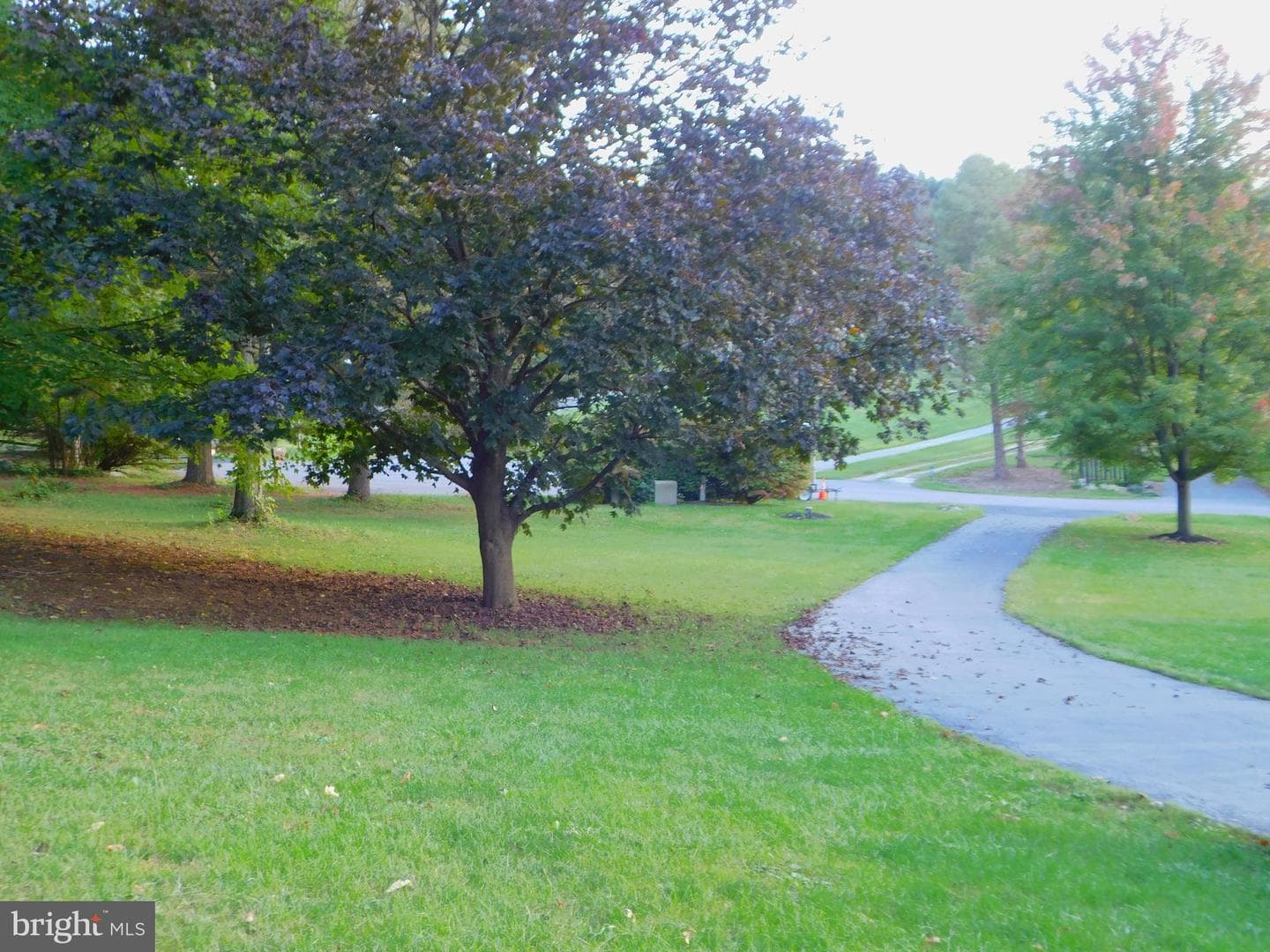 13202 Nittany Court photo 39